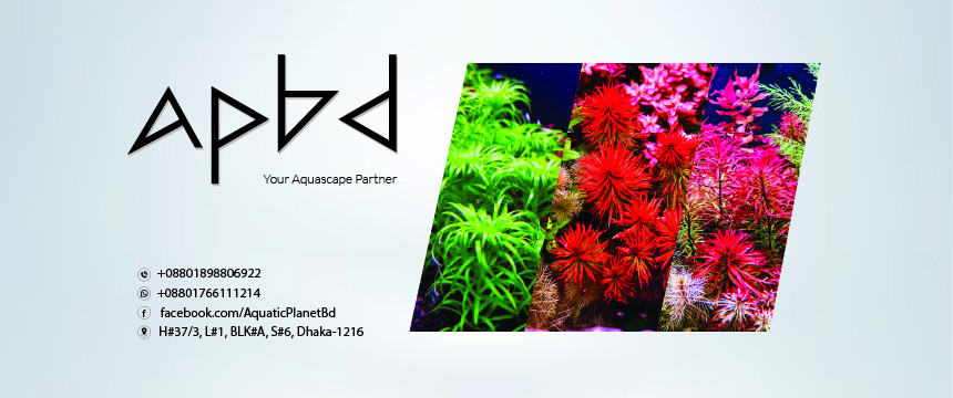 AQUATIC PLANET BD promo